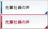 先輩社員の声